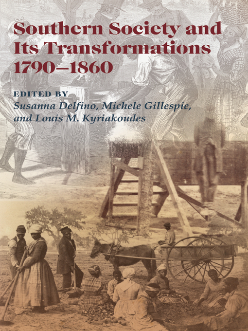 Title details for Southern Society and Its Transformations, 1790-1860 by Susanna Delfino - Available